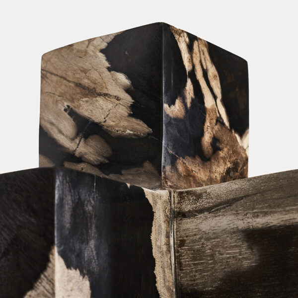 Jax Sculpture - Petrified Wood - Image 2